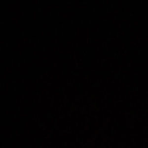 Meet your Posher, Alana